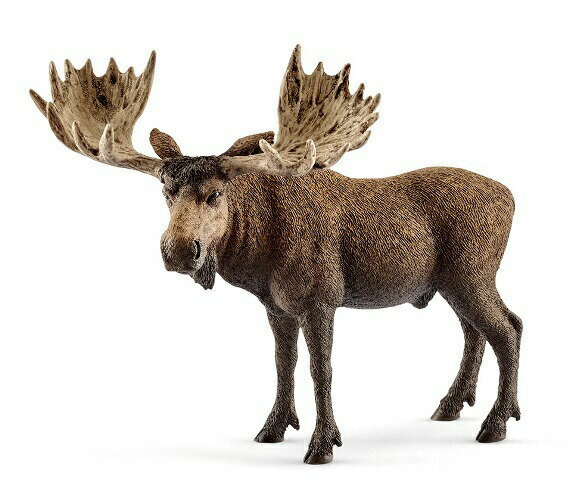 シュライヒ・ヘラジカ（オス）のサムネイル