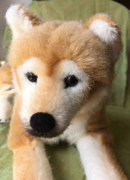 �ڤ������ʡۥ������� �̤������ �Ƹ� ���� �ɥ����� ��� �ꥢ�� ��ʪ���ä��� ���եȥ�åԥ�̵��KOSEN