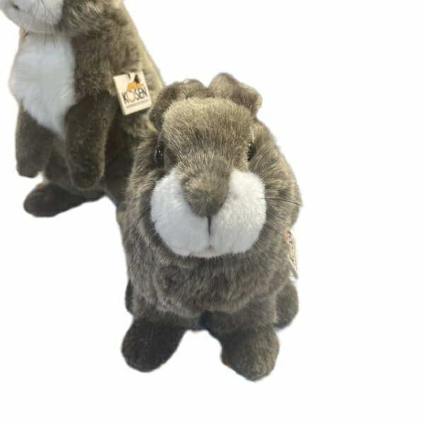 �������� �̤������ ������ �¤� �١����� �ɥ����� ��� �ꥢ�� ��ʪ���ä��� ���եȥ�åԥ�̵�� kosen