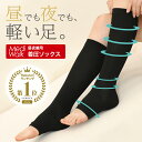 ＼本日5日 P10倍／ 【楽天1位 メディ