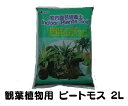 ▼園芸資材▼室内園芸培養土 ピートモス 2L 複数同一送料