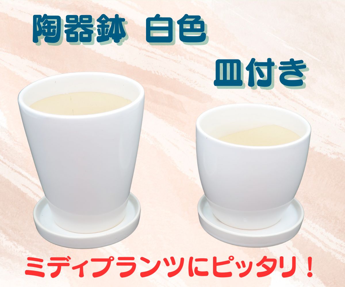 ݥȾò̵ڥԡȥ⥹2Lڿؤȭؤѥǥ¿