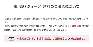 ニューバランスnewbalance腕時計EX2-905-004ウォッチメンズレディース【国内正規品】【ポイント10倍】