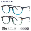 ハサウェイ 調光サングラス HATHAWAY HTS 6003 全2カラー 45サイズ ウェリントン メンズ レディース 紫外線対策 UVカット おしゃれ プレゼント ギフト 記念日