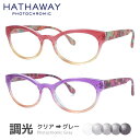 ハサウェイ 調光サングラス HATHAWAY HTS 6005 全2カラー 50サイズ フォックス メンズ レディース 紫外線対策 UVカット おしゃれ プレゼント ギフト 記念日