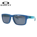 【子供用サングラス OAKLEY】オークリー サングラス OAKLEY ホルブルック XS プリズム レギュラーフィット HOLBROOK XS OJ9007-0453 53サイズ スクエア キッズ ジュニア ユース レディース【海外正規品】【PRIZM BLACK IRIDIUM】 記念日 敬老の日