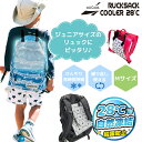 【SALE 40%OFF】リュックサック 冷感マット クールリュックマット アイスリュックシート リュックサッククーラー 冷却 ひんやり PCM 28℃ 背中 バック ランドセル 通学 ベビーカー 熱中症対策 キッズ ジュニア 大人 子供 allCool オールクール AC-RSC002M-GY Mサイズ(4)