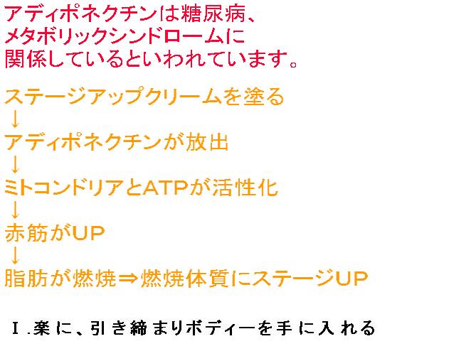 白姫ステージアップクリーム 【痩身クリーム　セルライト ダイエット 太もも 痩せ 塗るだけ ボディクリーム むくみ マッサージオイル 足痩せ 脂肪燃焼 脚やせ グッズ 除去 二の腕 解消 脚痩せ】