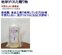 手荒れしない除菌液 【除菌液 大腸菌 O−157 ノロウィル...