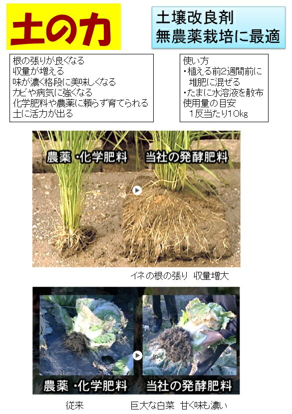 黒ニンニク1袋 100g 有機肥料青森県認証特...の紹介画像3