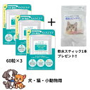 プロバイオデンタルペット・ PET 粒タイプ 60粒×3個軟水スティック1本プレゼント !ペットの口腔善玉菌サプリメント プレミアモード タブレット 乳酸菌 犬...