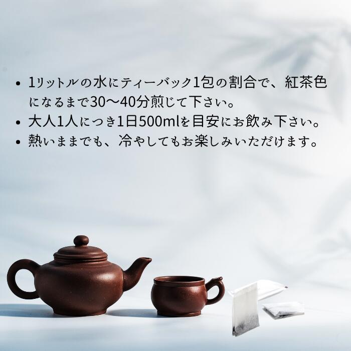 家伝 杉茶 ティーバック 5g 10包 杉の葉茶 ノンカフェイン 健康茶 杉茶 和漢茶 自然茶 ティーパック 日本産 植物茶 毎日のお茶