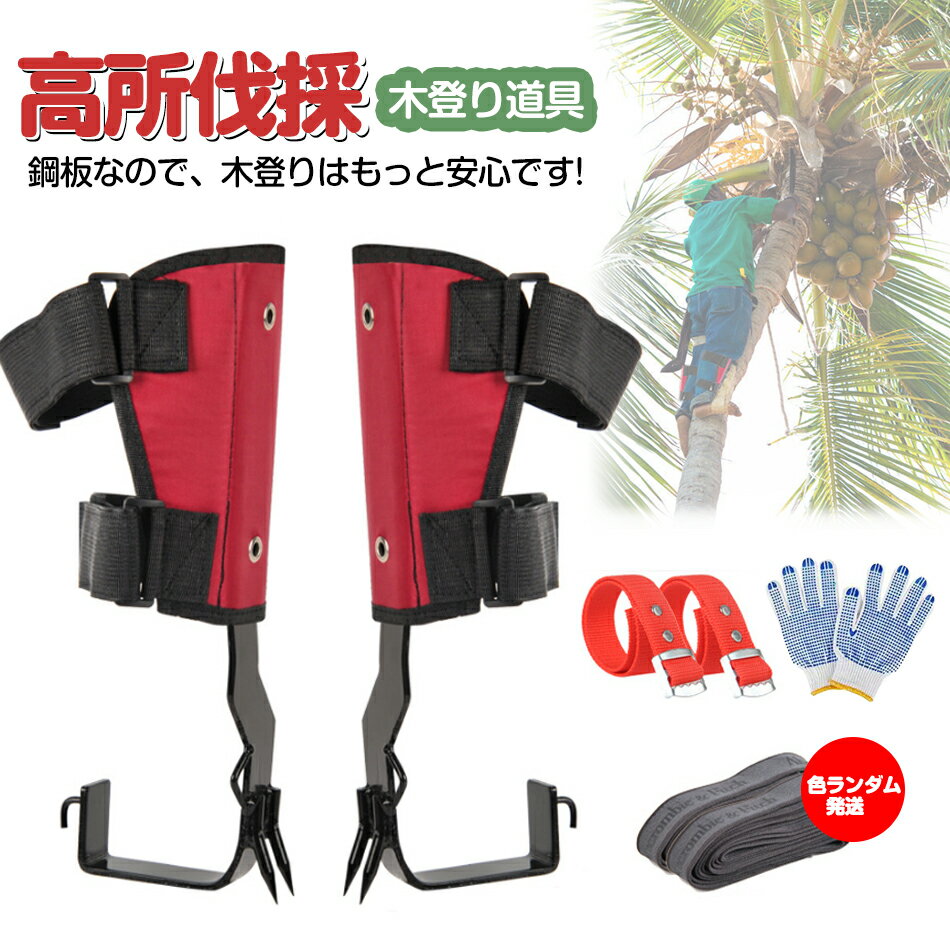 木登りスパイク 木登り器 木登り道具 昇柱器 直立木登りツール 木登りスパイクセット 調節可能なストラップロープ 林業用品 伐採 道具 狩猟や観察、果物狩り、ジャングルサバイバルなどに使用されます木登り器2.0 アップグレード版 直立