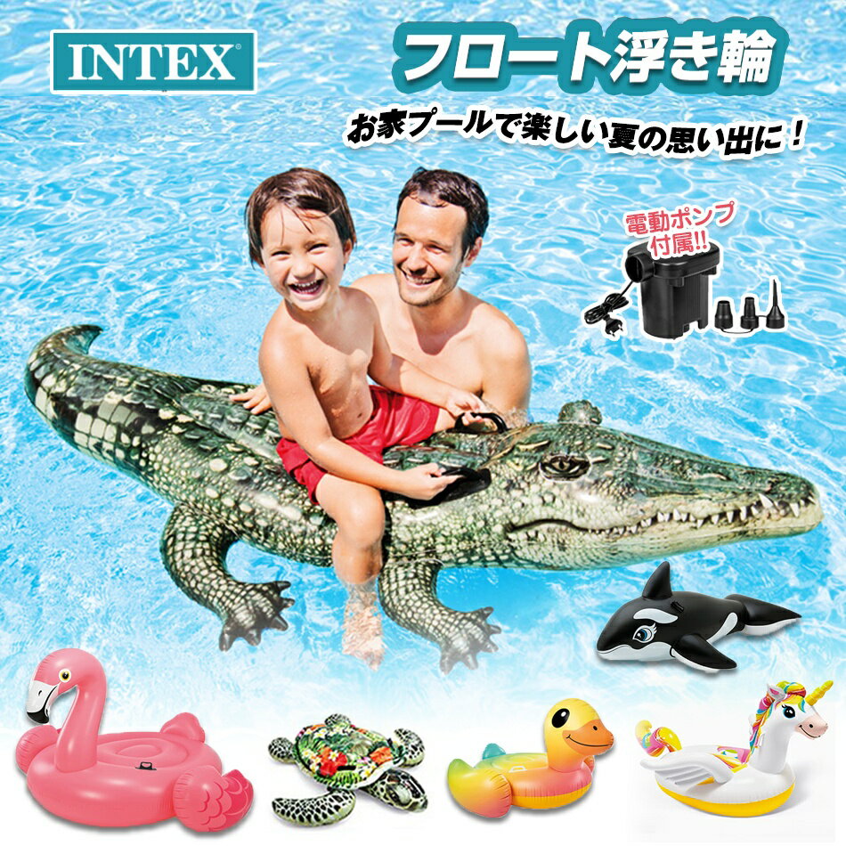 乐天商城 - INTEX インテックス フロート電動ポンプ付属 海水浴 SNS 話題 インスタ インスタ映え 海外 セレブフロート リアリスティックシータートル ライドオン 191×170cm 対象年齢：3歳以上 INTEX インテックス 超リアル プレゼント