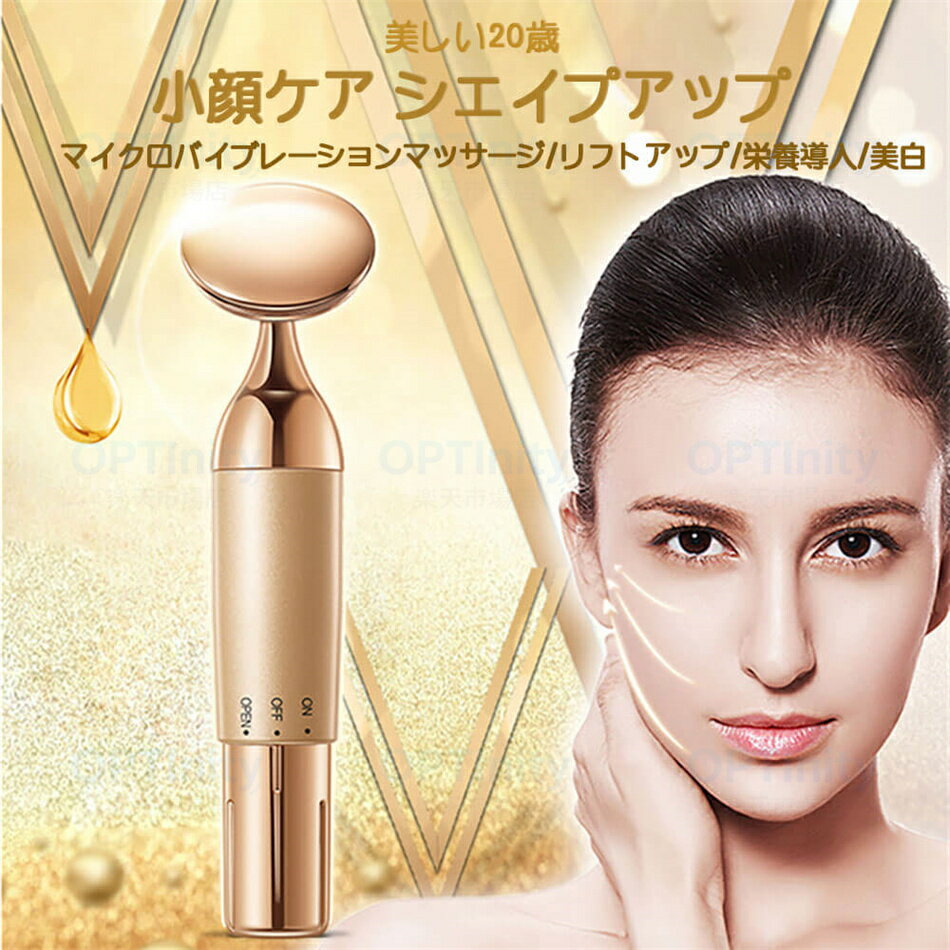 多機能美顔器！ イオン導入 毛穴 汚れとり 角質ケア 美顔ローラー 小顔ローラー イオン導入美顔器 フェイスローラー 美肌 小顔 美顔器 振動 フェイス 美顔ローラー マイクロカレント 振動 イオン導入 浸透 毛穴ケア 美肌 小顔 保湿 美 プレゼント 2