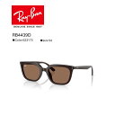 【在庫残り僅か】レイバン|RayBan RB4439D_623173 ...(4)