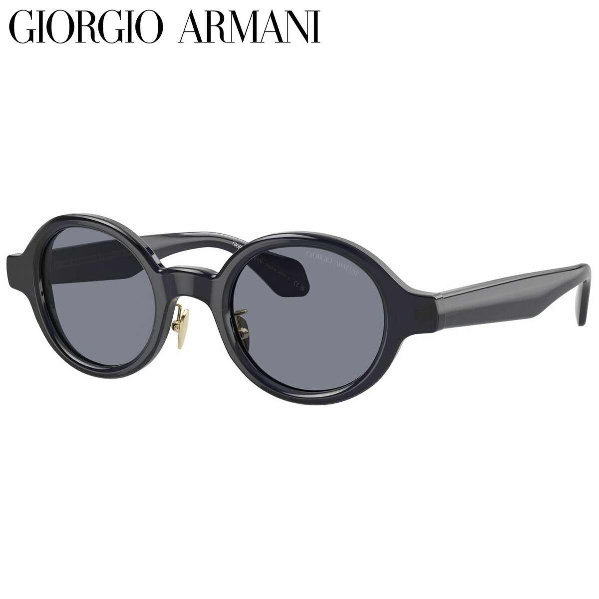 GIORGIO ARMANI AR8205 606419 46 サングラス ジョルジオアルマーニ メイドインジャパン コレクション 「美」「永」 永遠の美 青 made in Japan 日本製 メンズ レディース