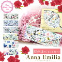 アンナ・エミリアギフトセット ANNA EMILIA メガネケース レンズクロス グラスチェーン アンナエミリア お洒落 おしゃれ プレゼント ギフト 誕生日 母の日 敬老の日 クリスマス レディース 