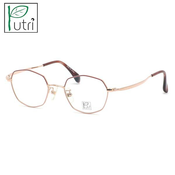 �ץȥ��� EP-888 2 46 �ᥬ�� Putri ���������� Ȭ�ѷ��� ������ �� made in japan ��ǥ�����