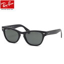 Ray-Ban RB2201 901/58 54 サングラス レイバン LARAMIE ララミー 偏光レンズ 偏光サングラス 度数付き対応 メンズ レディース