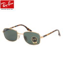 Ray-Ban RB3690 001/31 51 サングラス レイバン 度数付き対応 G15 メンズ レディース