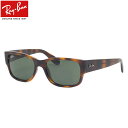 Co RB4388 710/31 55 TOX Ray-Ban G15 ׂb Y fB[X