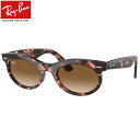 Ray-Ban RB2242F 133451 53 サングラス レイバン WAYFARER OVAL ウェイファーラーオーバル 度数付き対応 べっ甲 グラデーションレンズ メンズ レディース 24N1(4)