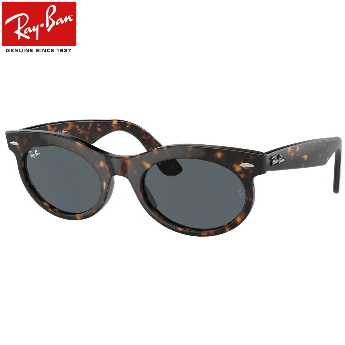 Ray-Ban RB2242F 902/R5 53 サングラス レイバン WAYFARER OVAL ウェイファーラーオーバル 度数付き対応 べっ甲 メンズ レディース 24N1