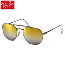 Ray-Ban Co TOX RB3648 004/I3 51TCY 54TCY HEXAGONAL wLTS MARSHAL }[V OfBGg~[ _uubW c[ubW Co RayBan xtΉ Y fB[X