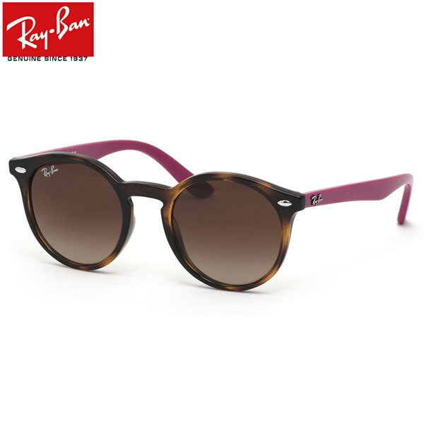 Ray-Ban レイバン サングラス RJ9064S 704113 44サイズ ヤング