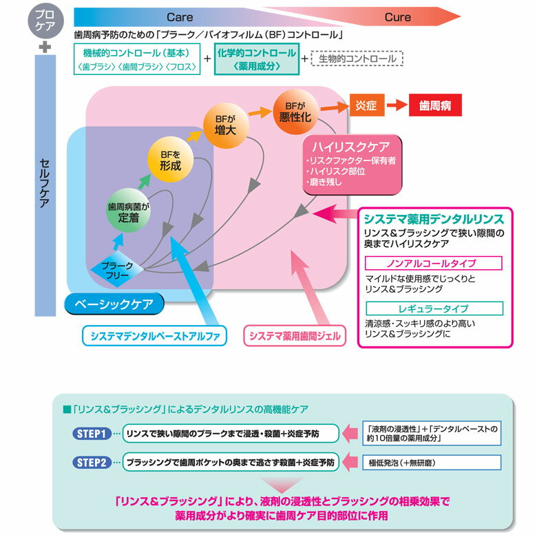 【スーパーセール割引！】【歯周病対策】ライオン DENT システマ 薬用デンタルリンス(洗口液) 450ml×1本【医薬部外品】【メール便不可】