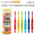 【即発送】【あす楽】こどもハブラシBRUSSY! 子供歯ブラシ やわらかめ ジュニア用 12本セット【メール便不可】