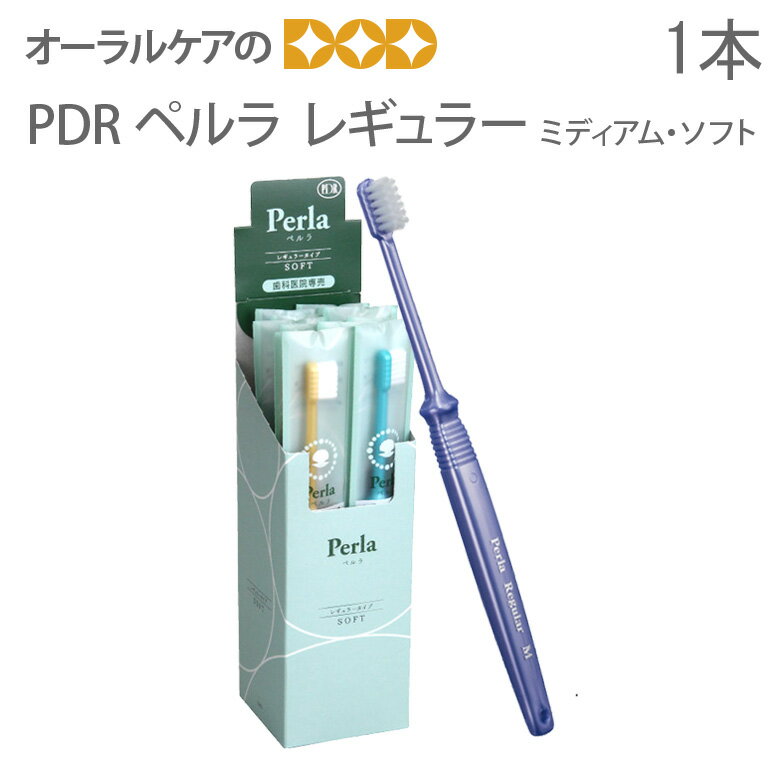 【マラソン限定！P2倍！】歯ブラシ PDR ペルラ レギュラー 1本 【メール便可 40本まで】