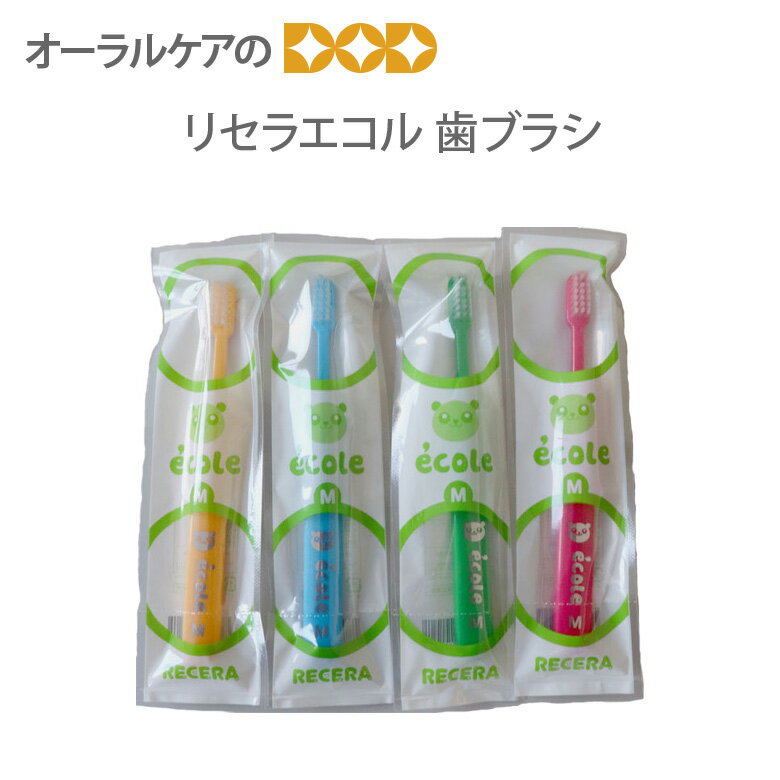 ※商品のパッケージデザイン等は予告なく変更されることがあります。ご了承下さい。12本 1000円ポッキリ　リセラエコル デュポン社製ナイロン毛を使用。 全長約146mm　ヘッド：9×21mm 4色アソート：レッド・グリーン・ブルー・イエロー 中国製 1000円ポッキリ 2000円ポッキリ