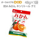 【5/1限定!P2倍!】みかん キシリトール グミ 48g【おかし特集】【旬の香り】【メール便可 6袋まで】