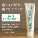 【即発送】【あす楽】6本 ウエルテック コンクール ConCool リペリオ 80g 歯肉炎・歯周炎予防ペースト/歯磨き剤 （歯磨き粉）【発泡剤無配合】【医薬部外品】【メール便不可】【送料無料】 2