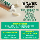 【即発送】【あす楽】6本 ウエルテック コンクール ConCool リペリオ 80g 歯肉炎・歯周炎予防ペースト/歯磨き剤 （歯磨き粉）【発泡剤無配合】【医薬部外品】【メール便不可】【送料無料】 3