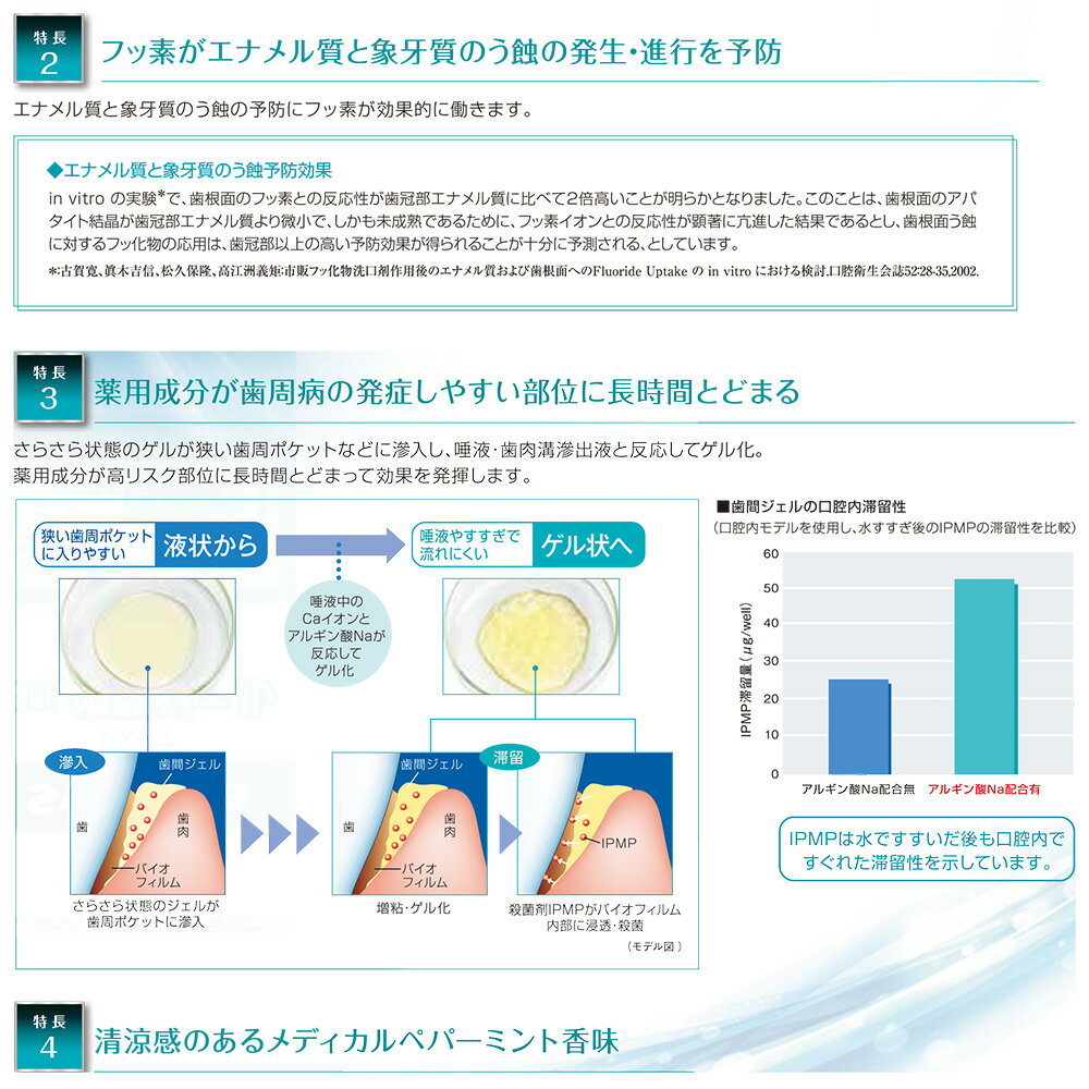 【あす楽】1個 DENT systema システマ薬用歯間ジェル＋フッ素 20ml【歯磨き粉】【メール便可 8個まで】