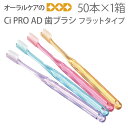 【あす楽】Ci PRO AD ハブラシ フラットタイプ 【50本入1箱】 かたさ：M（ふつう）・S（やわらかめ）・SS（超やわらかめ） 4色：クリアパープル・クリアブルー・クリアピンク・クリアオレンジ【メール便不可】