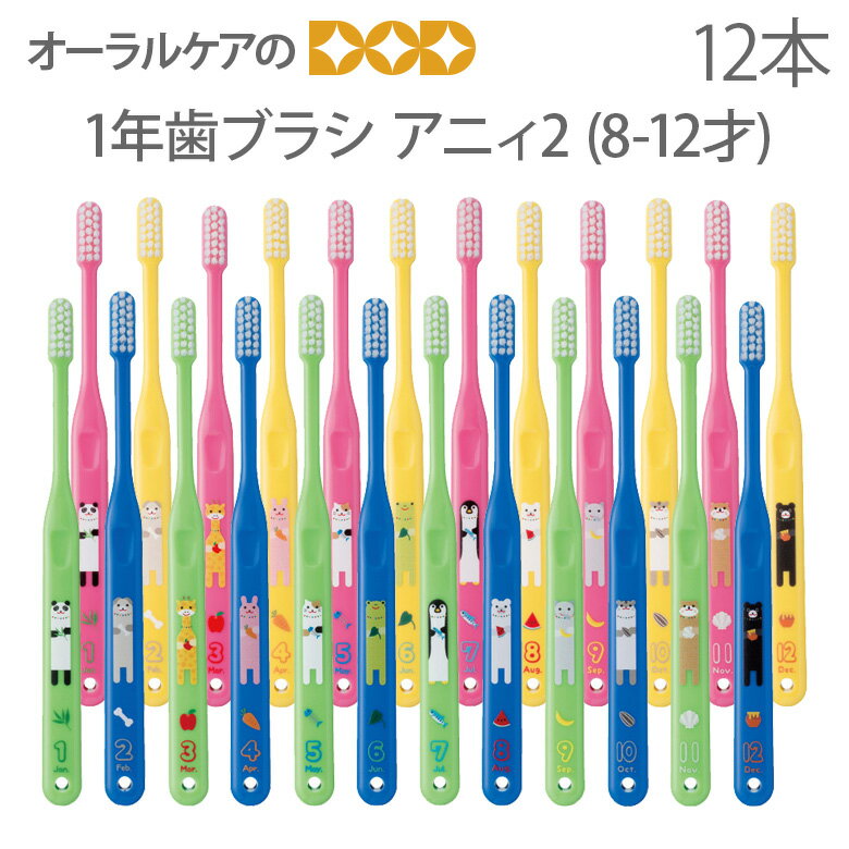 【即発送】PDR 子供歯ブラシ 1年歯ブラシ アニィ2 8-12歳 12本【メール便可 2セットまで】
