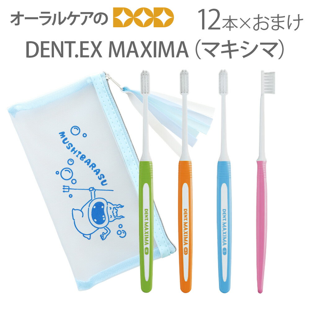 【即発送】【あす楽】【おまけ付】【ムシバラスメッシュポーチ付き】12本 DENT MAXIMA マキシマ 歯ブラシ【メール便可 1セットまで】【メール便送料無料】