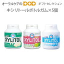 【5/1限定!P2倍!】歯科専用 キシリトールガム ボトルタイプ 5個セット【ギフト商品】【メール便不可】【送料無料】