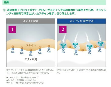 お試し　 Brilliant moreブリリアント モア　アプリコットミント　20g ライオン lion ホワイトニング 歯磨き粉 歯みがき 虫歯予防