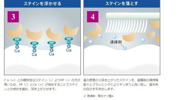 お試し　 Brilliant moreブリリアント モア　アプリコットミント　20g ライオン lion ホワイトニング 歯磨き粉 歯みがき 虫歯予防