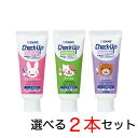 【全国送料無料】 選べる2本セット チェックアップ コドモ check up kodomo 歯磨き粉 60g入 ライオン lion 子供 歯みがき 虫歯予防 歯...