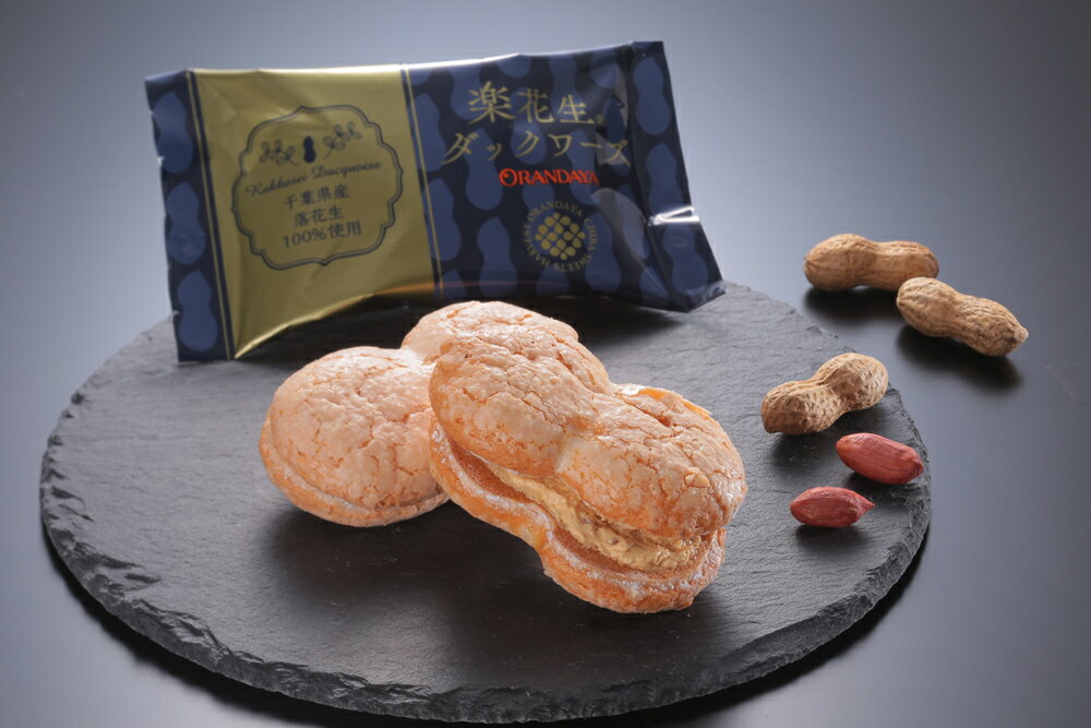 【無料ラッピング】オランダ家 ダックワーズ(2種アソート）21個入 千葉 ギフト お菓子 詰め合わせ おもたせギフト 母の日 グルメ お取り寄せ スイーツ お土産 ご挨拶 お祝い 内祝い お返し お礼 贈答品 出産 結婚 誕生日 贈り物 食品 食べ物