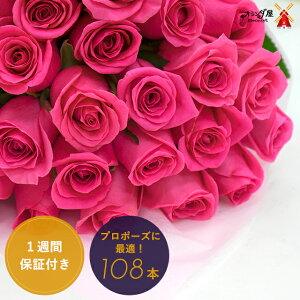 ★プロポーズに★バラ108本の花束【色が選べる】花言葉は「結婚してください」特別なギフト　ブーケ