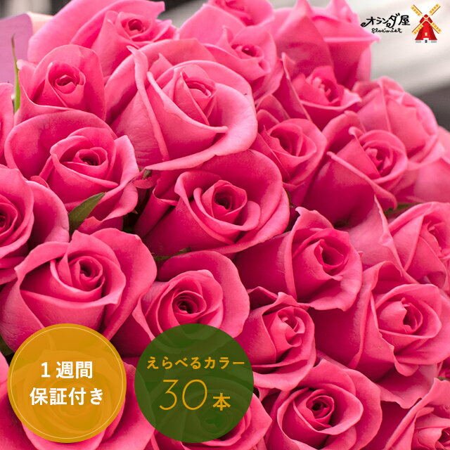 バラの花束ギフト ◆色がえらべる◆バラ30本の花束 送料無料 薔薇 ブーケ 記念日 誕生日 結婚記念 お祝い 赤 ピンク 黄色 喜ばれるギフト フラワーバレンタイン