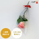 ★バラ☆1本ラッピング★リボン付き保水なし送別会 発表会 卒園式 卒業式 にオススメ!