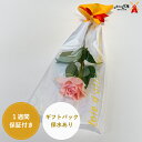 ★バラ☆1本ラッピング★ギフトパック&リボン付き保水あり 卒園式 卒園式 発表会 などにオススメ!